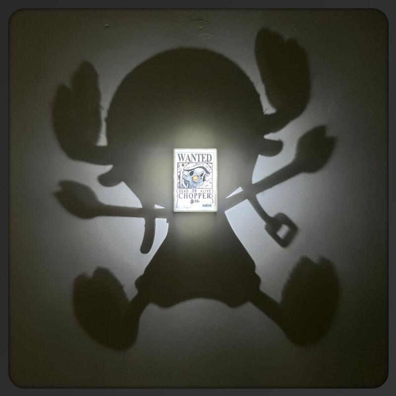 Cartoon Toy One Piece Light Sh - Photography Darkroom review and price